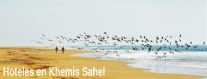 Hoteles en Khemis Sahel